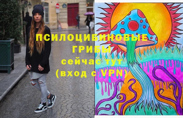 первитин Алексин