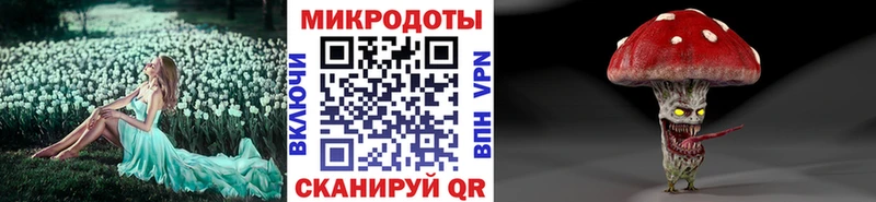 omg ССЫЛКА  цена   Ефремов  Галлюциногенные грибы Cubensis 