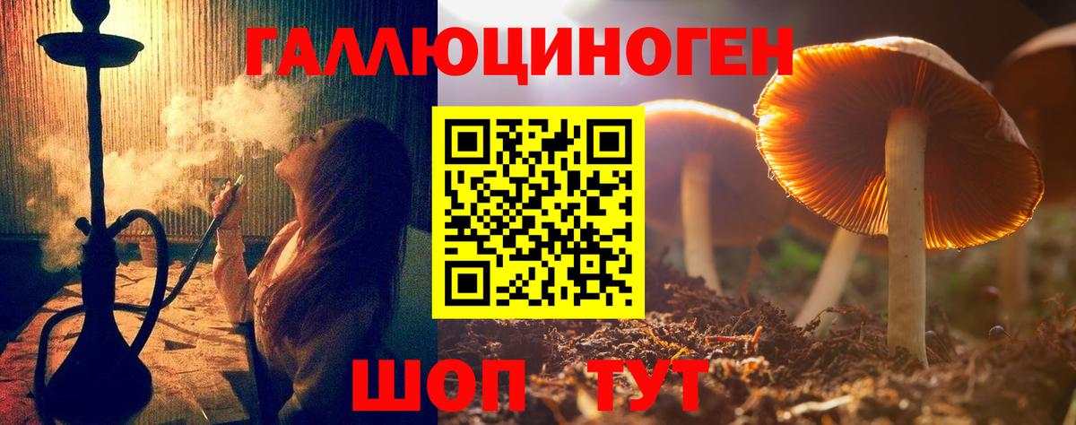 Ефремов  где купить наркоту  Вход с VPN  Галлюциногенные грибы Cubensis 